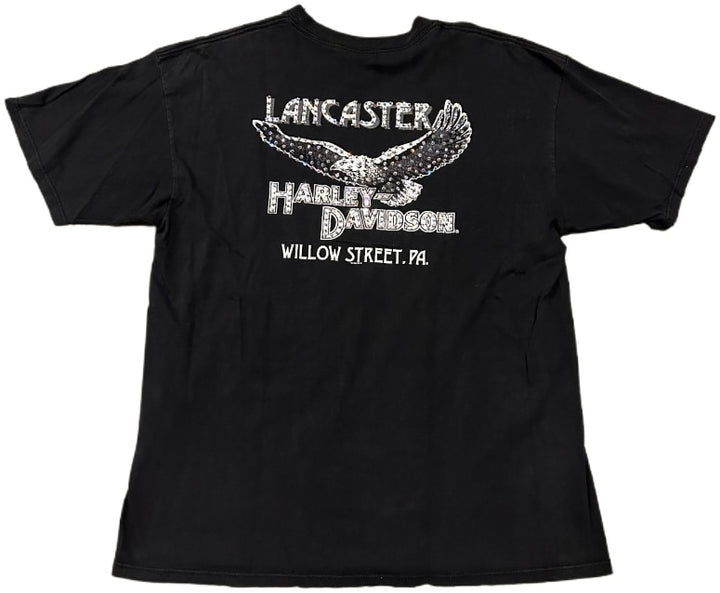 Harley Davidson &