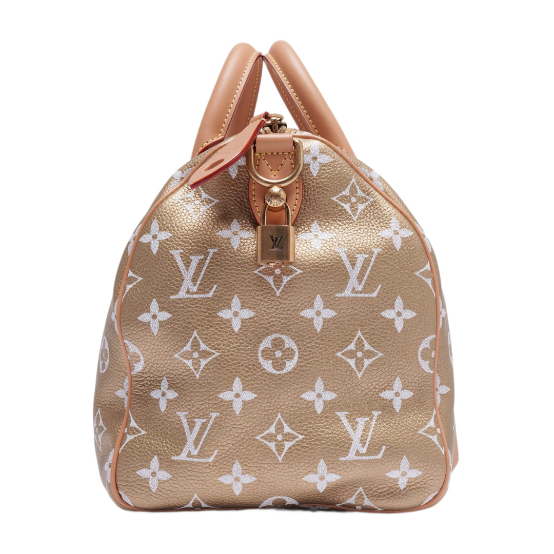 Louis Vuitton &