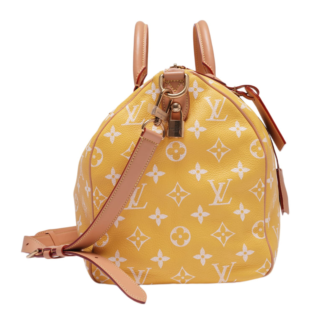 Louis Vuitton &