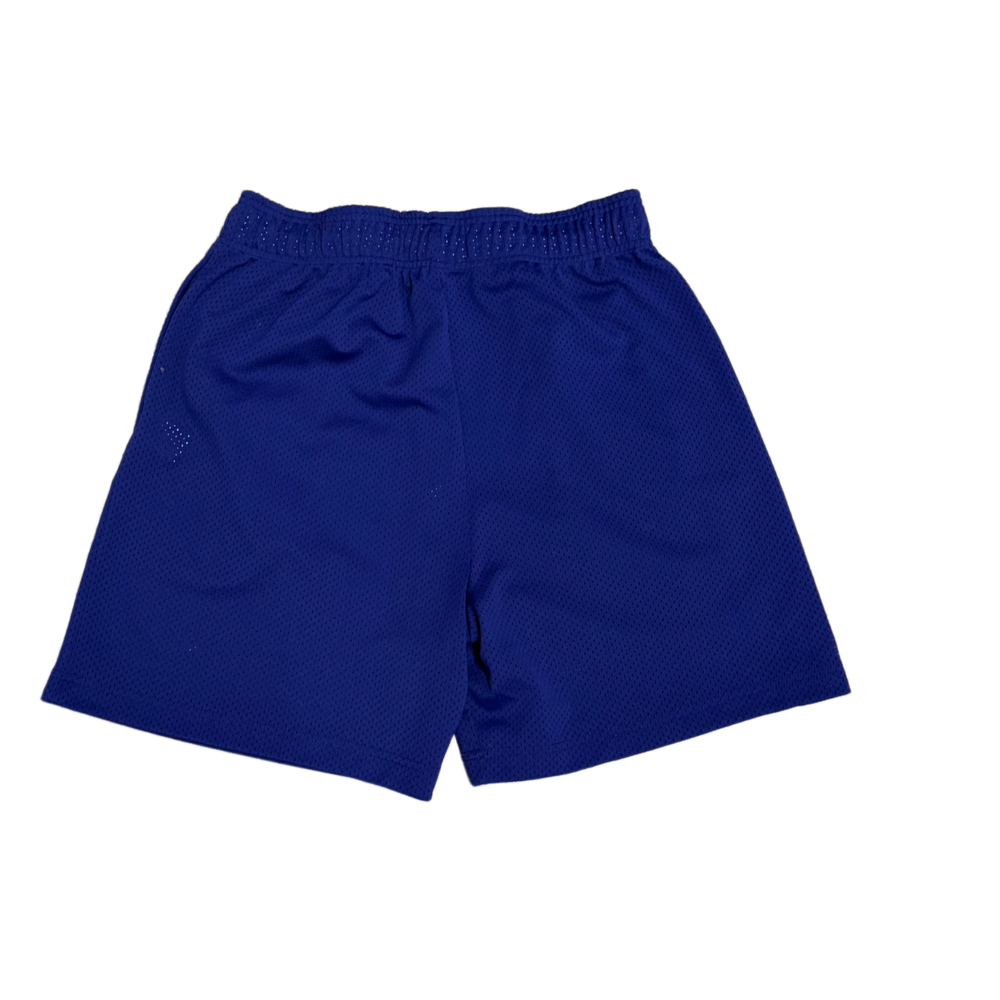 Eric Emanuel 'Purple' Basic Mesh Shorts