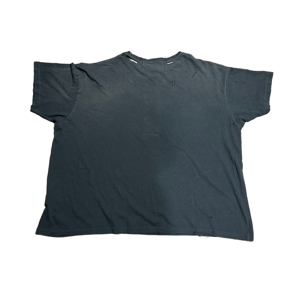 Paly 'Blue' Rolling Stones Signed Mosquito Tee