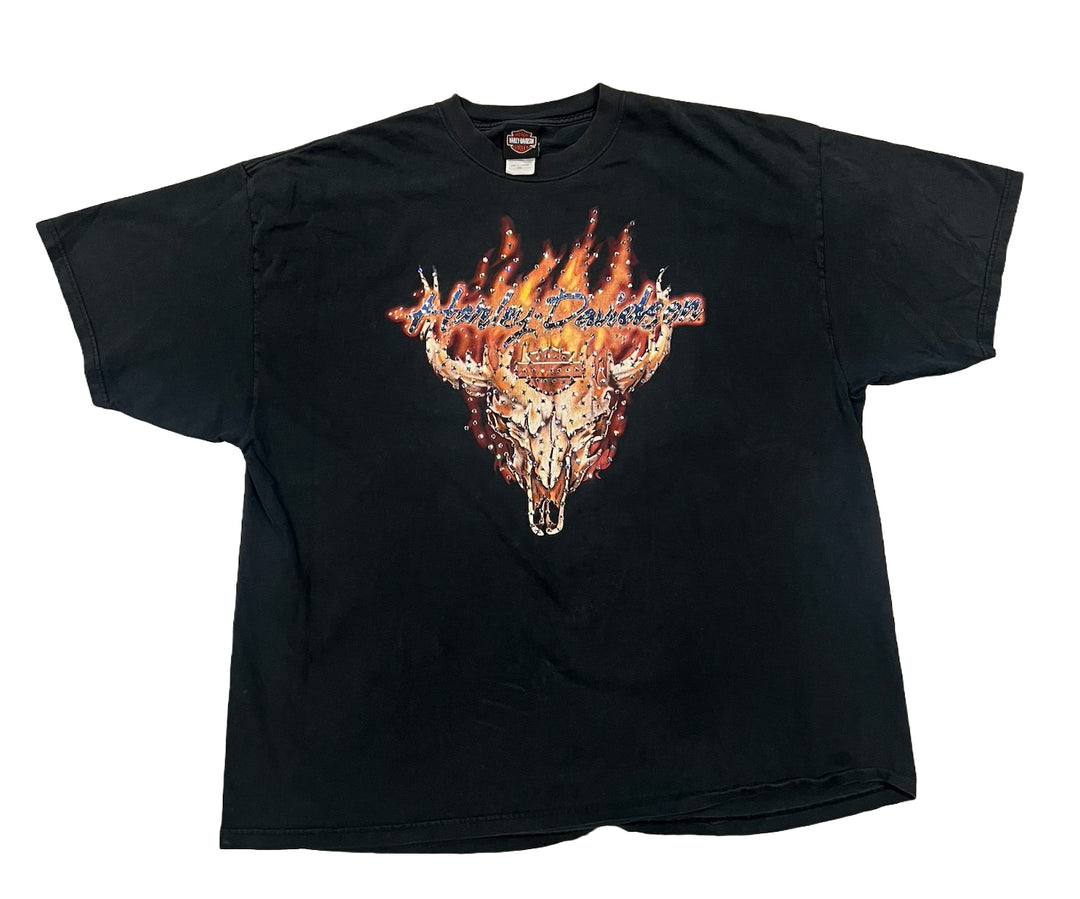 Harley Davidson &