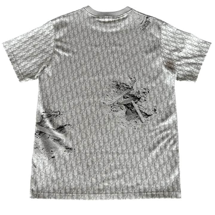 Dior x Daniel Arsham &