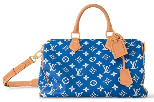Louis Vuitton &